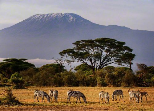 2 Days Amboseli National Park Safari From Nairobi