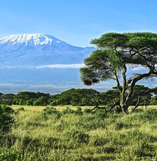 Amboseli Safari Holidays