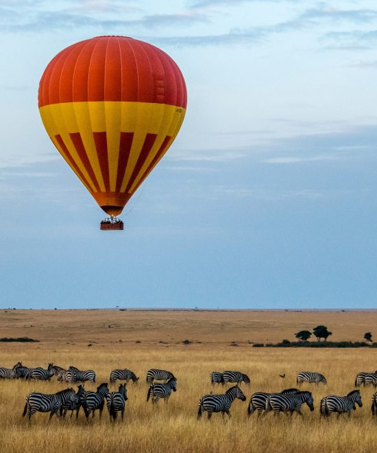 Masai Mara Safari Holidays