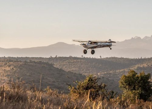 2 Days Masai Mara Fly-in-Safari From Nairobi