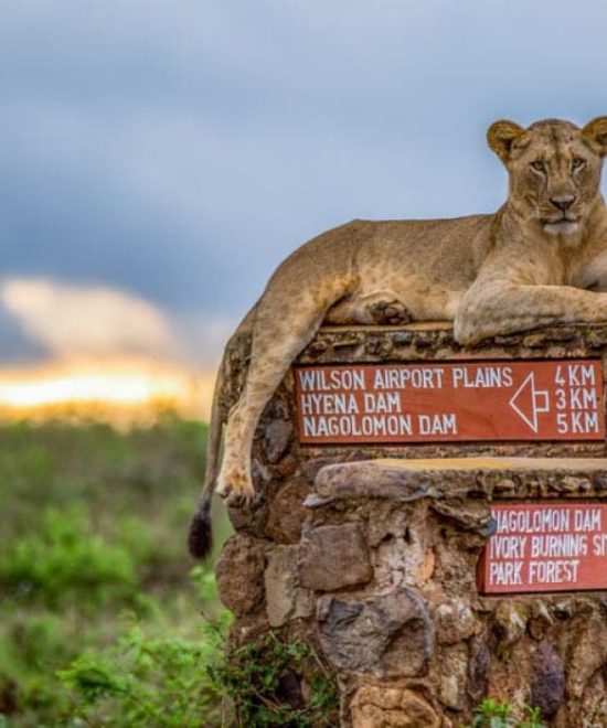 Nairobi Day Tours