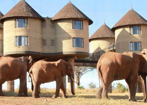 4 Days Tsavo East-Amboseli & Taita Hills Sanctuary Safari