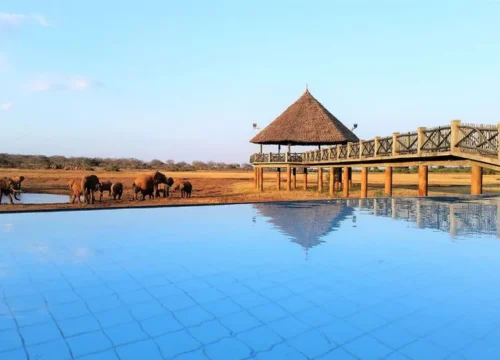 3 Days Safari Tsavo East & Amboseli National Park from Diani Beach