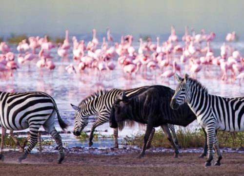 Lake Nakuru National Park