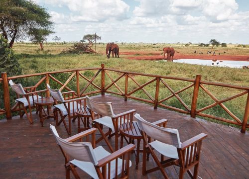 2 Days Ngutuni Wildlife Sanctuary Safari