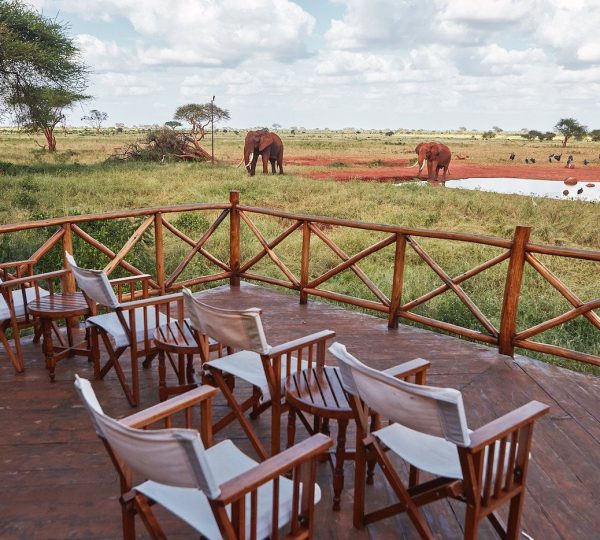 ngutuni-safari-from-mombasa