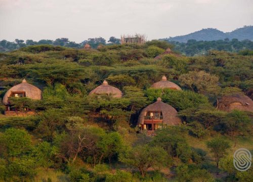 Serengeti Serena Safari Lodge
