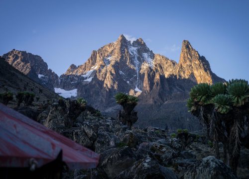 Mt Kenya National Park