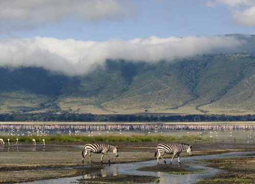 Ngorongoro Conservation Area