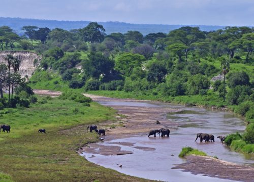 Tarangire National Park