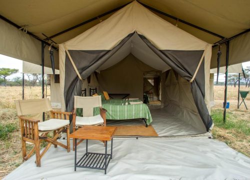 Serengeti Katikati Tented Camp