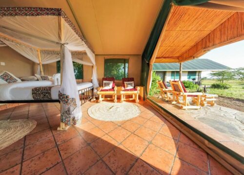 Africa Safari Serengeti Ikoma