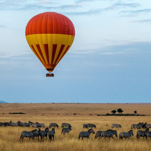 3 Days Masai Mara Wildlife Safari from Nairobi
