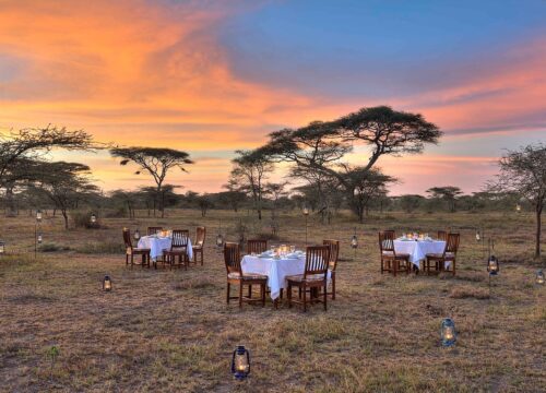 Ndutu Safari Lodge