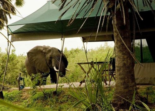 Lake Manze tented Camp