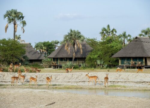 Maramboi Tented Lodge