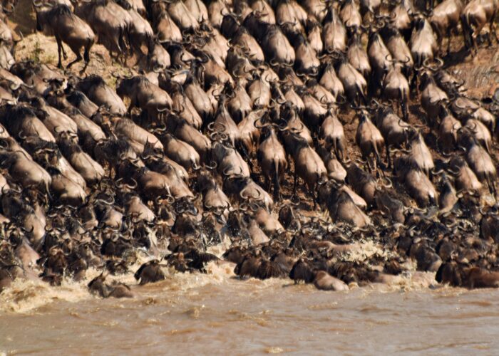 LAKE NAKURU NATIONAL PARK