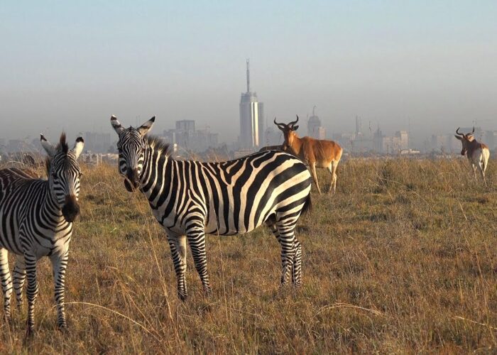 Nairobi day tours and trips