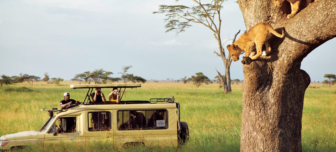 East Africa Safari Tours Packages