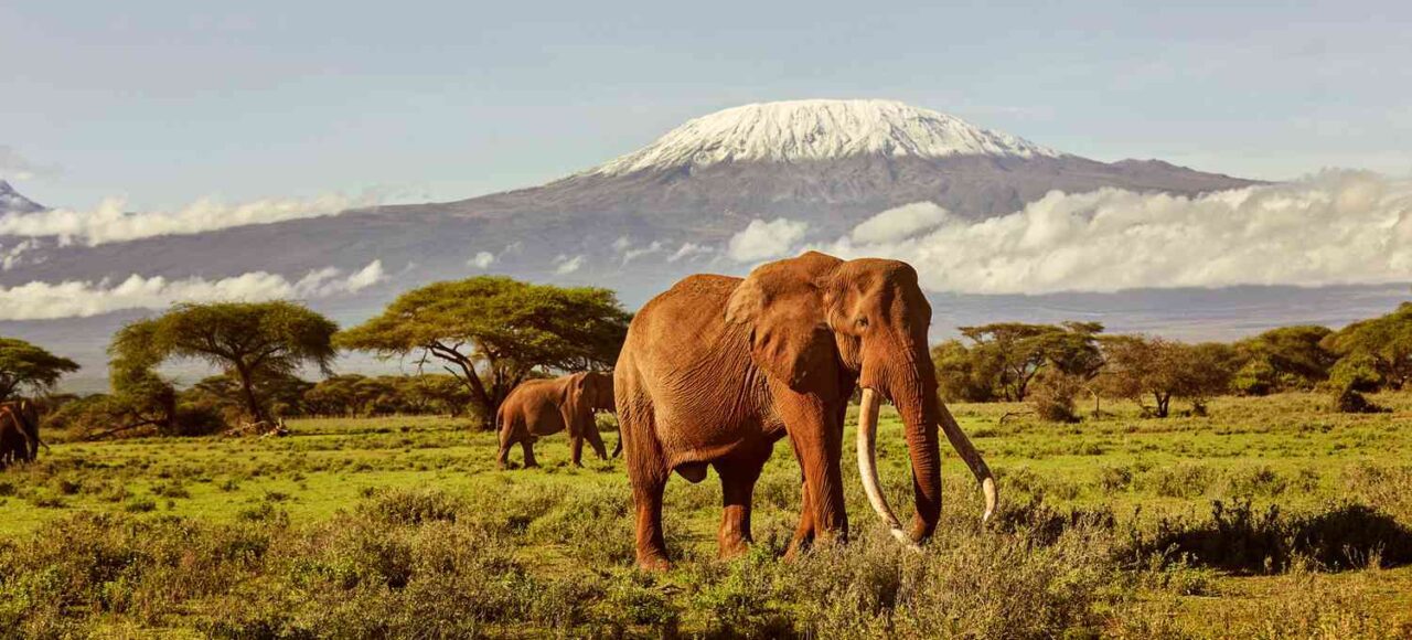 East Safari tour in Amboseli Kenya