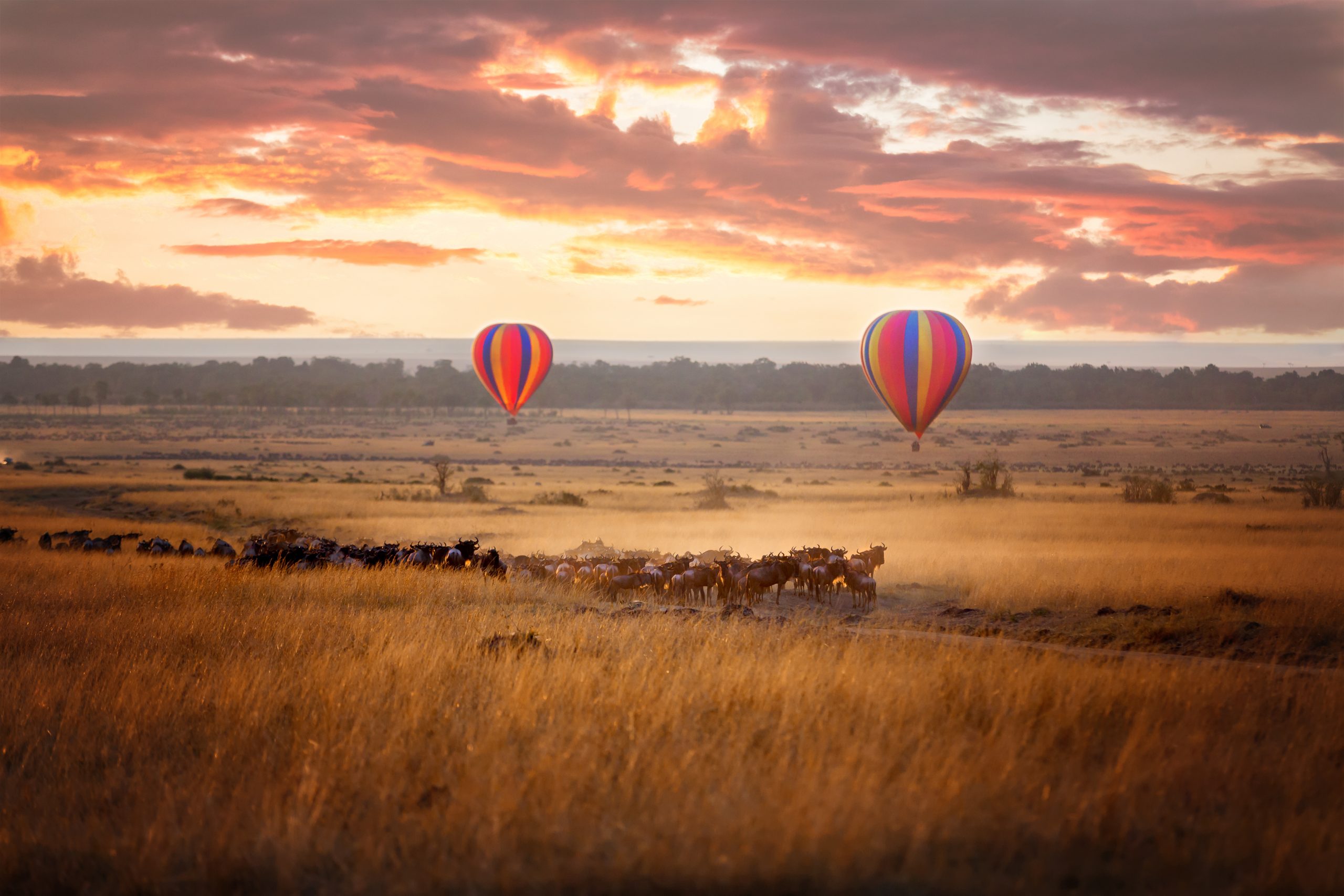 Hot Air Balloon Adventure Safari Tour Masai Mara