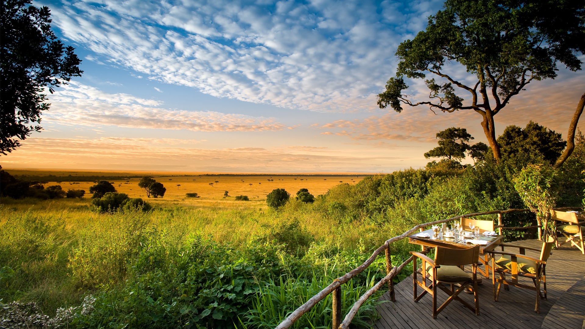 Kenya Safari Tours With Grey Impala Safaris