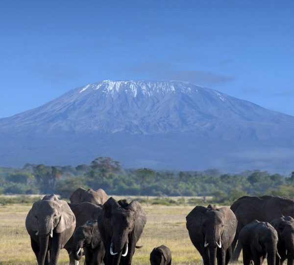 Kenya-Amboseli-Safari-Tour-Holidays