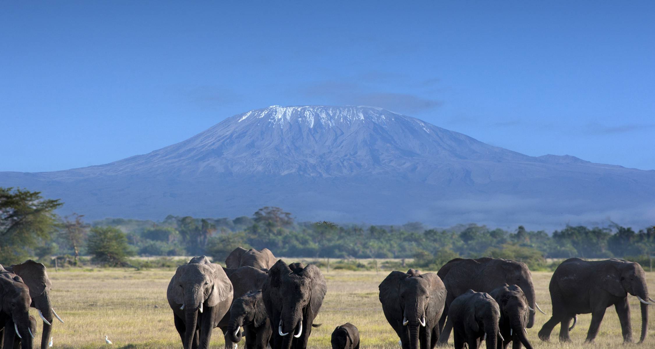 Kenya-Amboseli-Safari-Tour-Holidays