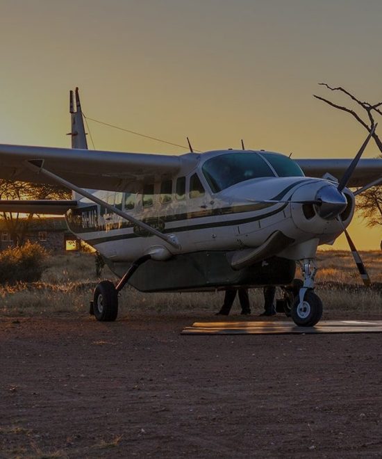 Fly-In Safaris