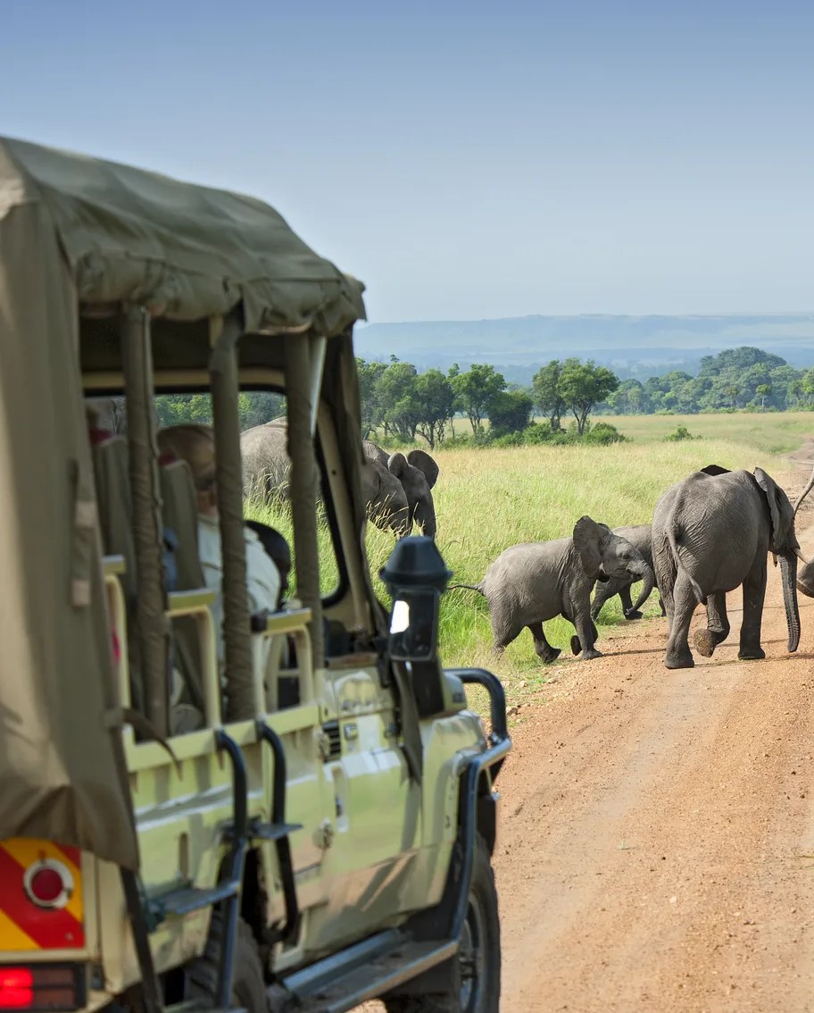 Kenya-Safari-Adventures-with-Grey-Impala-Safari-Holidays