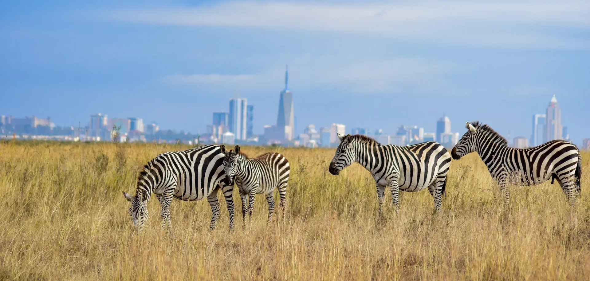 Nairobi-day-tours-with-Grey-Impala-Safari-Holidays