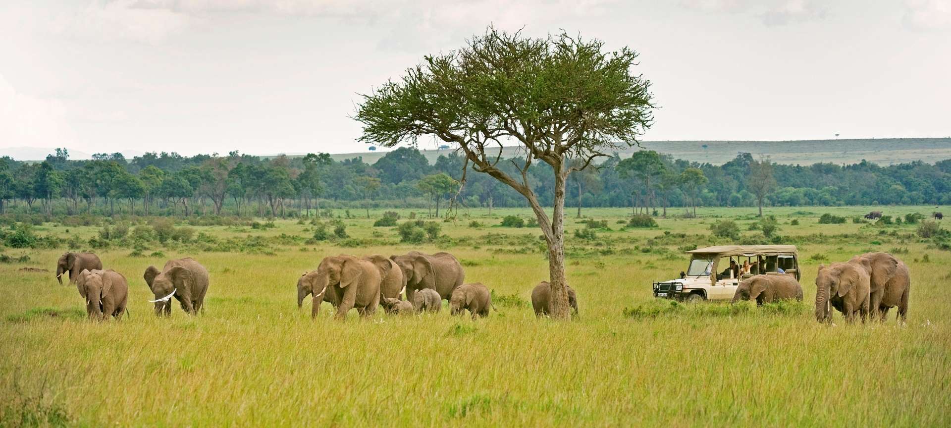 Road-Safari-Kenya-With-Grey-Impala-Safari-Holidays