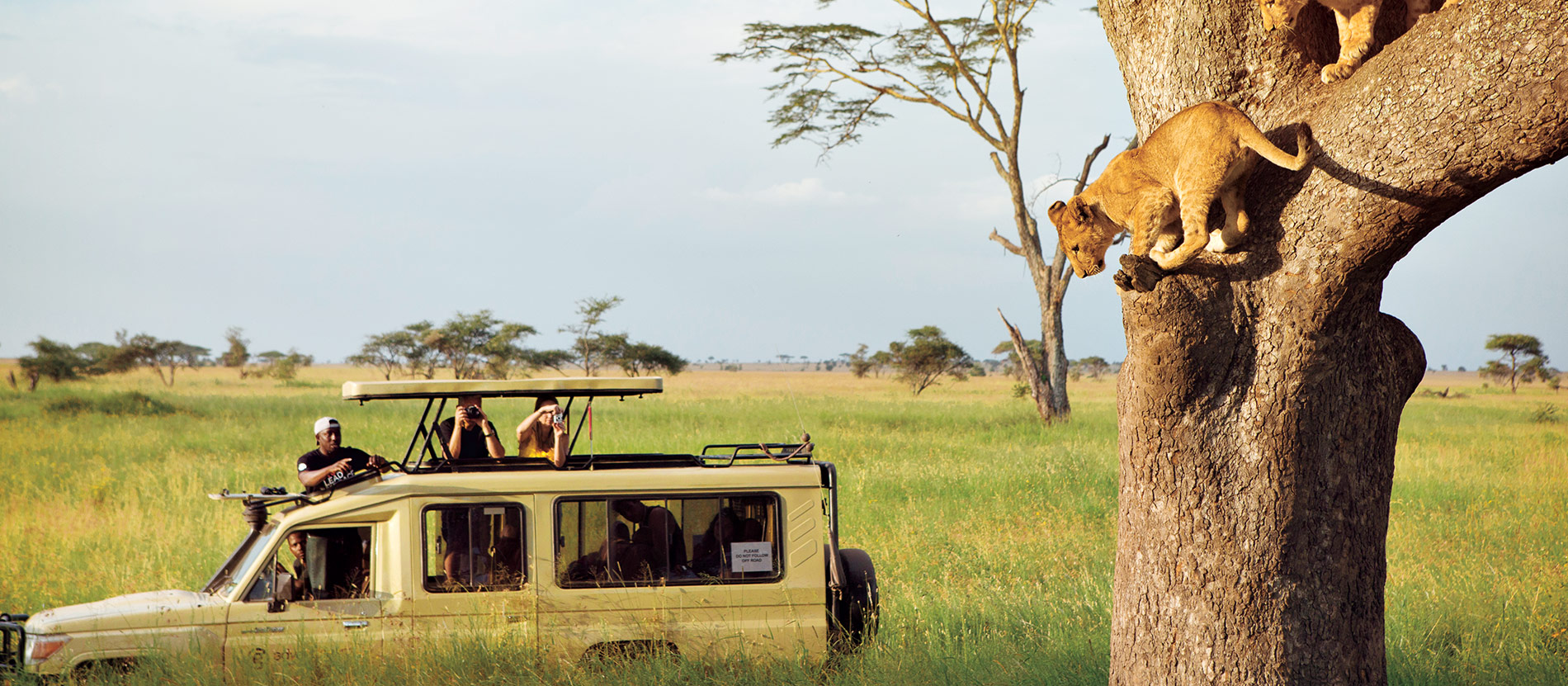 Luxury Tanzania safari holiday with Grey Impala safaris
