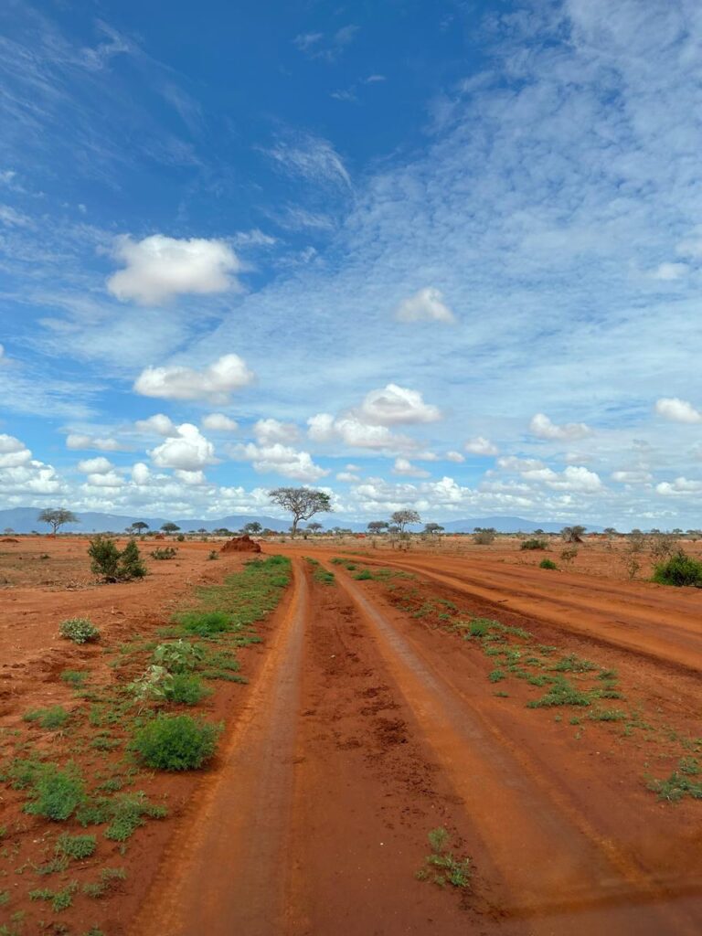 tsavo east