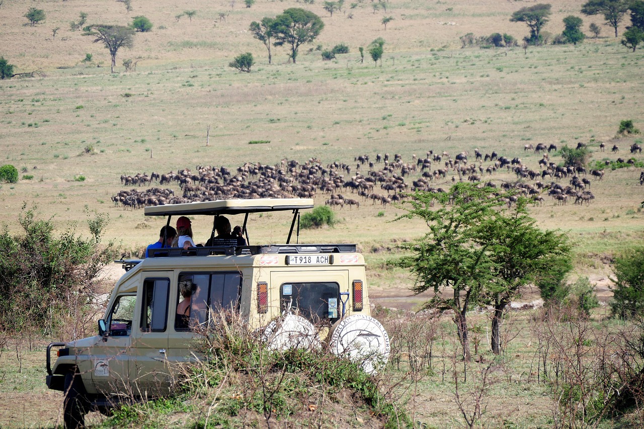 Game drive experience in Masai Mara