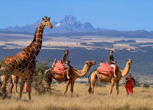 Kenya’s Quiet Tourism Comeback Is Gaining Global Attention