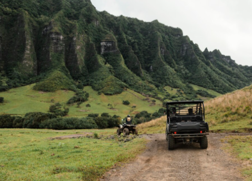 Discover the Ultimate Shimba Hills National Reserve Day Trip with Grey Impala Safaris