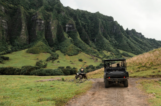 Shimba Hills National Reserve Day Trip