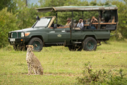 Best Safari Destinations Africa – Ultimate Guide for Unforgettable Wildlife Adventures