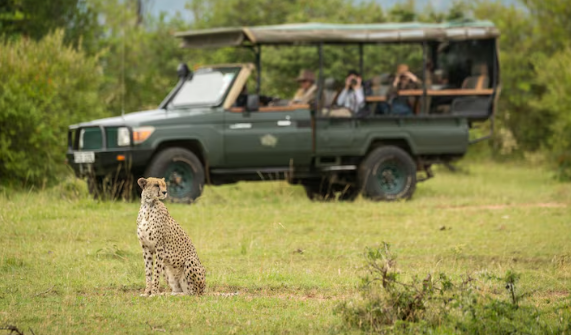 Best Safari Destinations Africa
