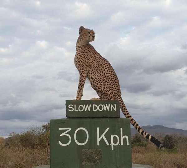Taita hills wildlife sanctuary