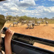 Samburu Safari Holidays