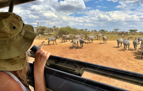 Samburu Safari Holidays: Discover the Wild Beauty of Northern Kenya