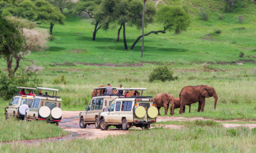 Tsavo East Safaris for Chartered Tourists – Exclusive Kenya Wildlife Experiences