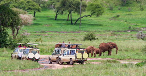Tsavo east safaris for chartered tourists