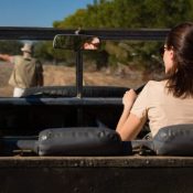 Luxury African Safari Europe