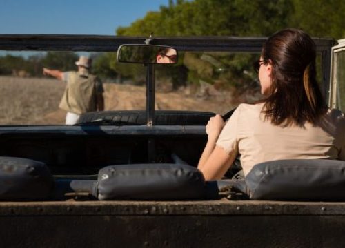 Luxury African Safari Europe: Discover Africa’s Finest Wildlife Adventures