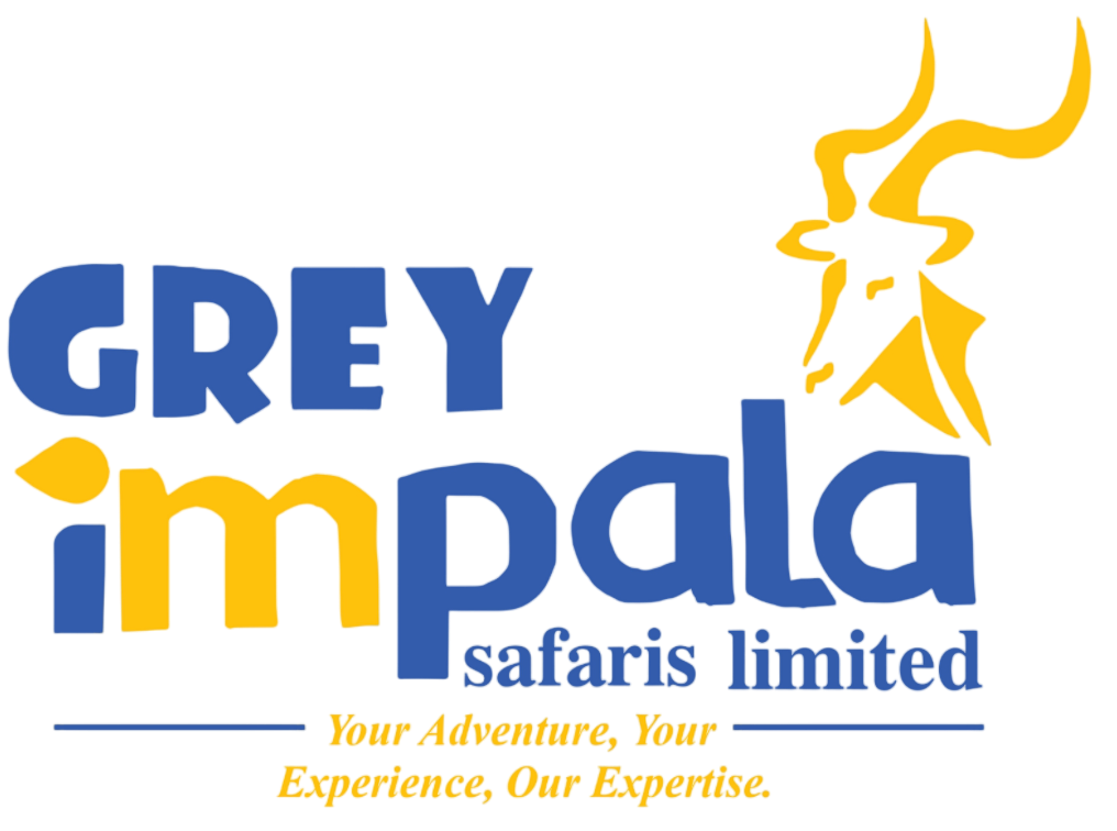 Grey Impala Safaris