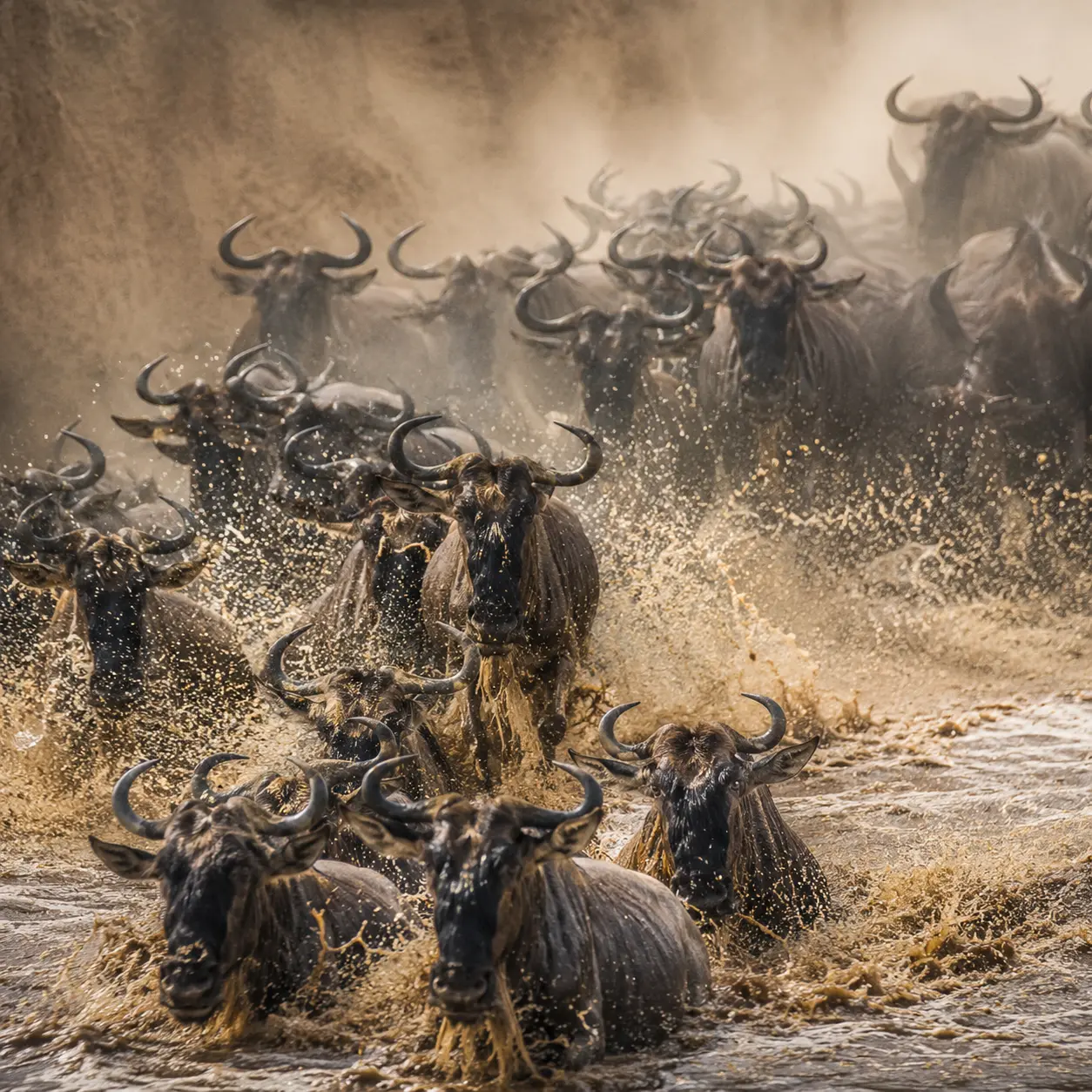 Great Migration river crossing on a 14 day Kenya Tanzania safari