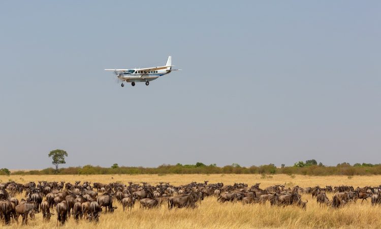 Private light aircraft on a 4 day flying gorilla trekking safari in Uganda